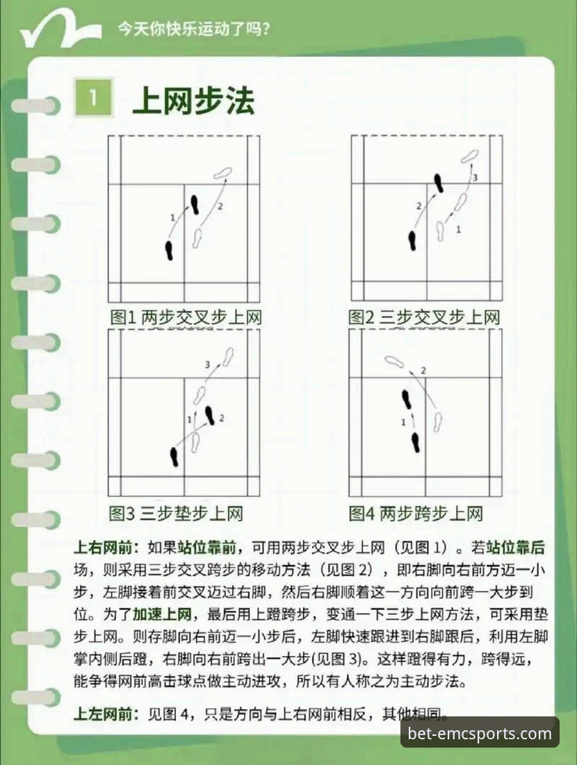 5个关键步骤：易倍体育官网使用教程，从新手到高手的创新玩法
