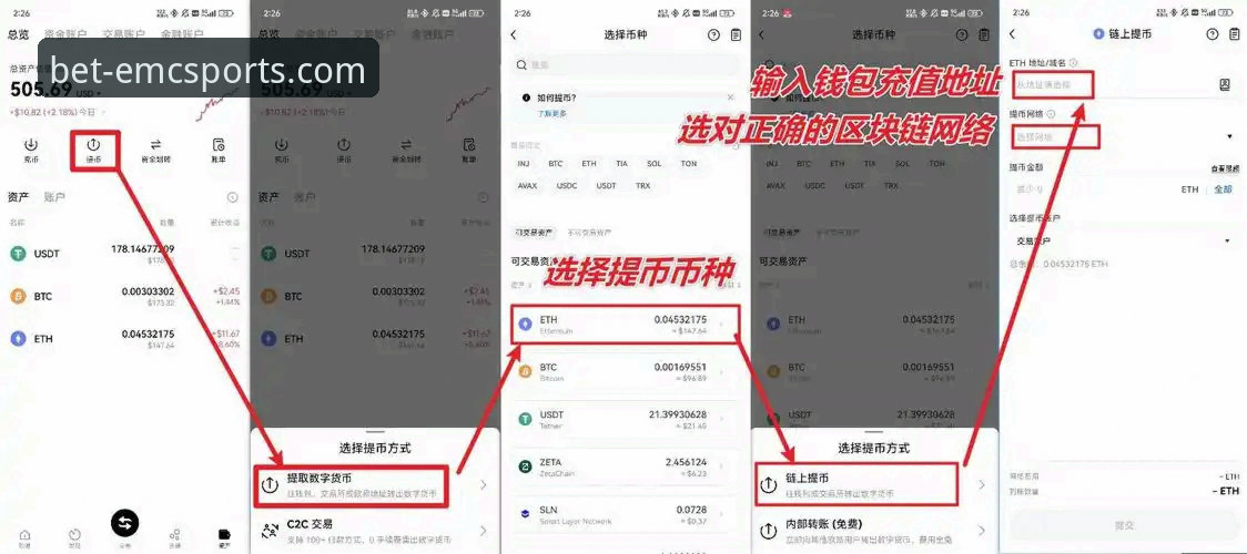 易倍体育平台最新动态：如何识别EMC官方安全通道入口，保障账户资金安全