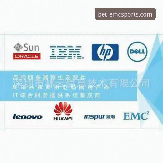 如何辨别EMC官方安全通道入口？资深用户教你对比真假入口